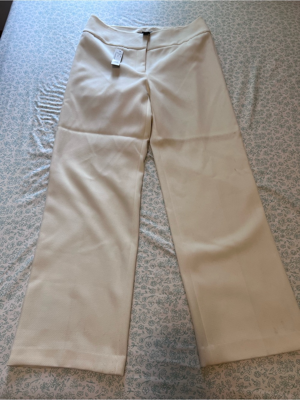 Jared Ross Cream Off White Wide Leg Trousers Dress Pants Size 8 NWT